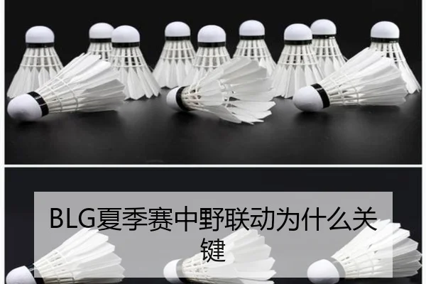 BLG夏季赛中野联动为什么关键